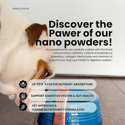 Dog Gut Health Supplement with Salmon Oil, Prebiotics & Probiotics | Digestion Support Powder for Dogs | Sensitive Stomach, Loose Stool & Gas Relief | Natural Hydration Drink Mix