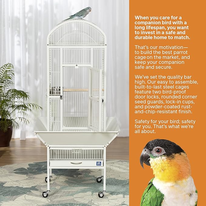 Prevue Pet Products 34512 Dometop Bird Cage, Small, Chalk White