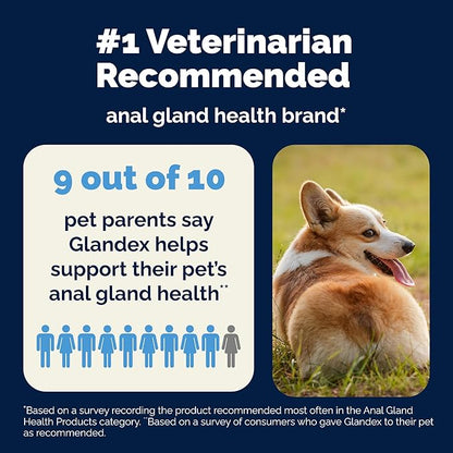 Vetnique Glandex Dog Fiber Supplement Powder for Anal Glands with Pumpkin, Digestive Enzymes & Probiotics - Vet Recommended (Regular or Advanced Strength) - Boot The Scoot (4.0 oz, Salmon)