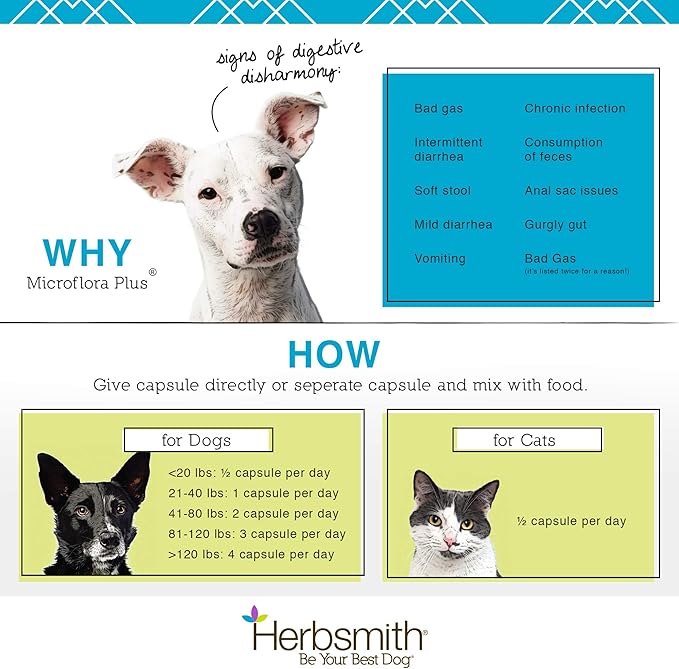 Herbsmith Microflora Plus  Dog Digestion Aid _robiotics and Digestive Enzymes for Dogs  Prebiotic for Dogs  30ct Capsules