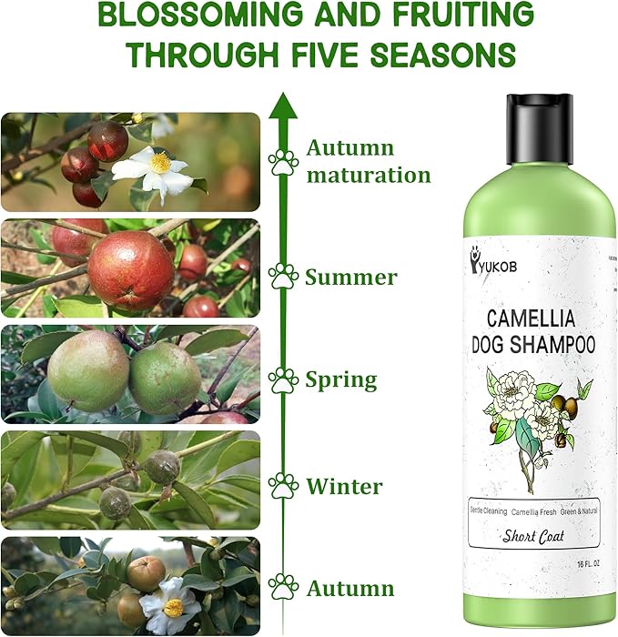 Dog Shampoo and Conditioner for Allergies & Itching -Natural Camellia Oil Pet Shampoo for Sensitive Skin, Deshedding, Smooth Coat for Smelly Dogs,|Brightening Luster | 16 oz