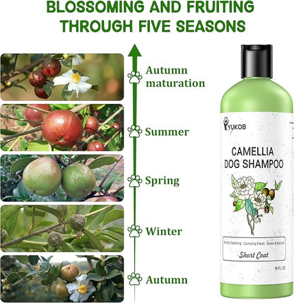 Dog Shampoo for Allergies & Itching -Natural Camellia Oil Pet Shampoo for Sensitive Skin, Deshedding, Smooth Coat for Smelly Dogs|Reduce Hair Loss & Odor Removal | 16 oz