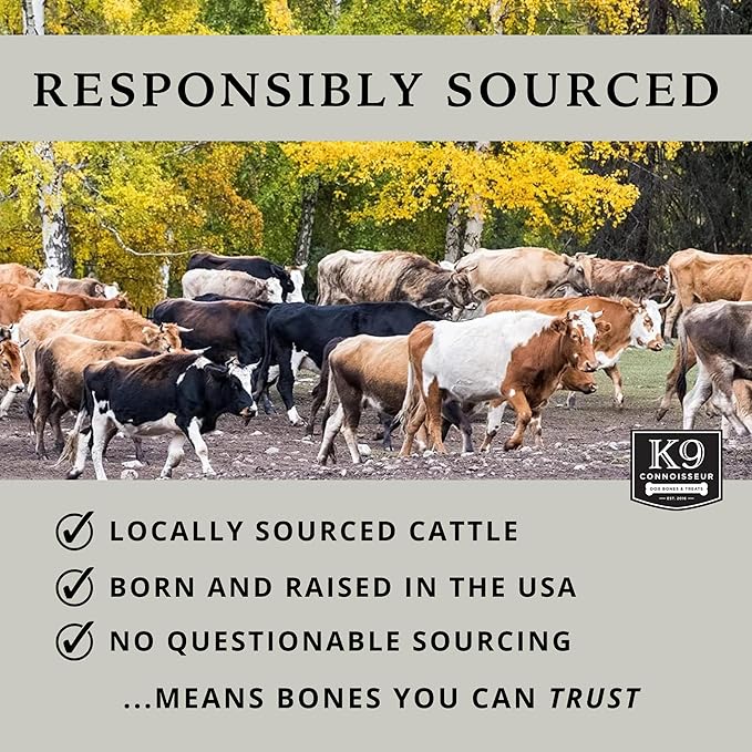 K9 Connoisseur Natural Dog Bones for Dogs Long Lasting & Large Dog Bones for Aggressive Chewers Breeds- Knuckle Bone Marrow Dog Bones Rawhide Free Dog Treats for Medium Dogs Made in USA Only (3 Pack)