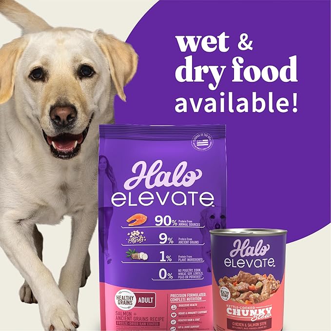 HALO Elevate Dry Dog Food, Healthy Grains Salmon Recipe, 3.5lb