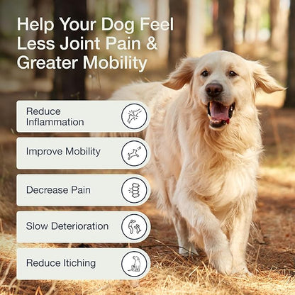 Pure Dogs Hip & Joint Dog Chews - Glucosamine Chondroitin & Green Lipped Mussel for Joint Pain Relief, Function & Mobility, Gut & Digestive Support - for Large & Small Breeds - 90 Chews