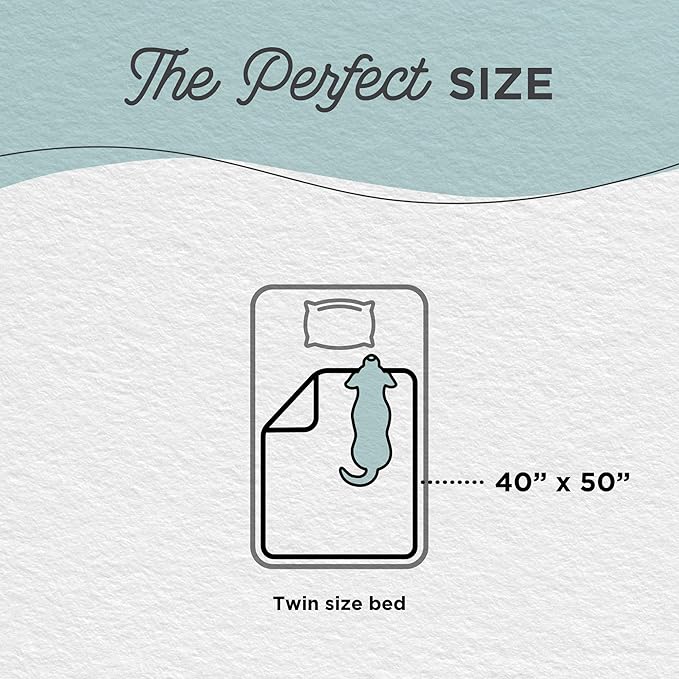 Best Friends by Sheri Calming Lux Dog Blanket, Gray, 40" x 50"