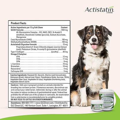 Actistatin Canine Large Dog Soft Chews, 60ct  Patented Extra-Strength Joint, Cartilage, Soft Tissue Supplement: Glucosamine, Chondroitin, Manganese, MSM, L-Carnitine  High Absorption, Fast Results