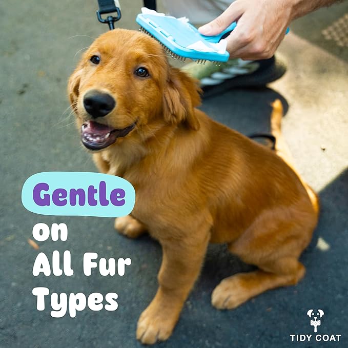 Tidy Coat Wet Wipe Dog Brush, Dog Grooming, Dog Accessories,