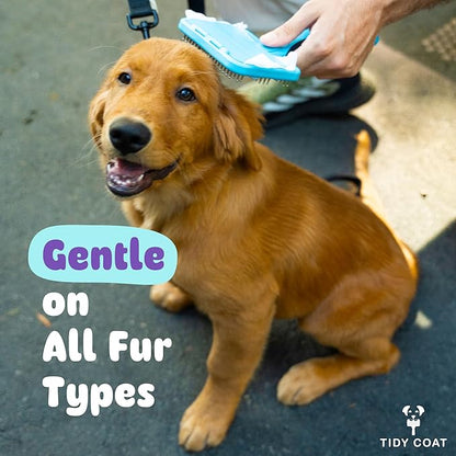 Tidy Coat Wet Wipe Dog Brush, Dog Grooming, Dog Accessories,