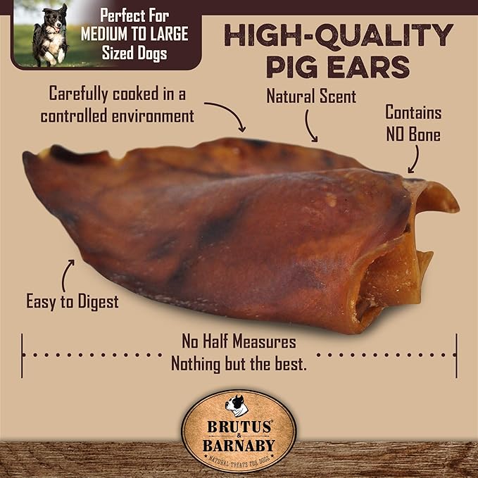 100% Natural Whole Pig Ear Dog Treat - 12 Pack Our Healthy Pig Ears Are Easy To Digest, Chemical & Hormone Free Thick Cut For Aggressive Chewers, Great Small Or Large Dogs