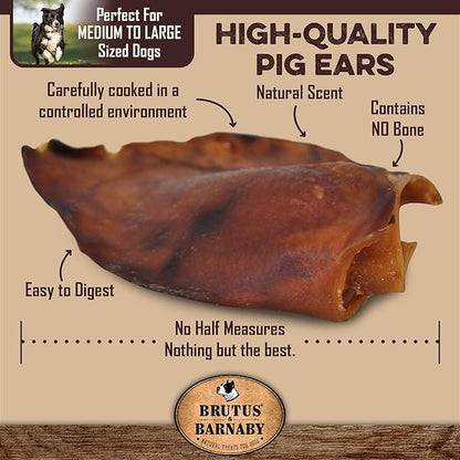 100% Natural Whole Pig Ear Dog Treat - 12 Pack Our Healthy Pig Ears Are Easy To Digest, Chemical & Hormone Free Thick Cut For Aggressive Chewers, Great Small Or Large Dogs