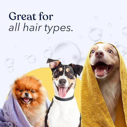 Honest Paws Dog Conditioner - Detangle & Moisturize - Premium Pet Conditioner for Itchy and Dry Skin - Hydrate Sensitive Skin - Shiny Coat Soft Hair Smooth Fur - Mandarin & Berry - 16oz