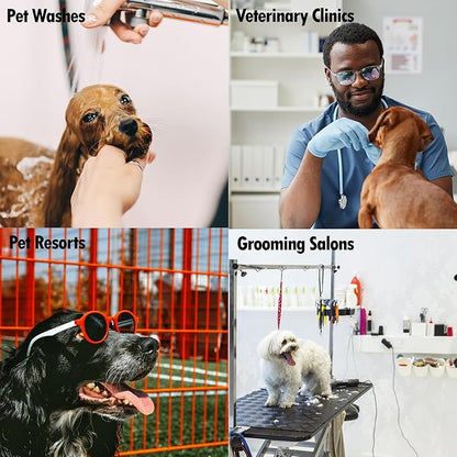 256:1 Disinfectant, 1 Gallon - Liquid Concentrate Disinfectant and Deodorizer, Sanitizer for Veterinary Clinics and Kennels, Effective Against Viruses and Bacteria (Lemon)