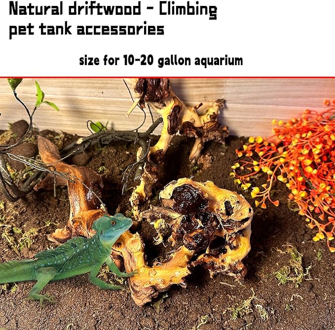 Hamiledyi Aquarium Driftwood 3PCS Natural Trunk Driftwood Assorted Branches 8-12" Reptile Wood Decor Terrarium Ornament Fish Tank Decoration