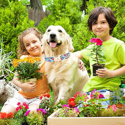 Lionheart glory Dog Collar Pink Flower Dogs Collar Spring Summer Cute Collars Dog Girl or Boy Soft Durable Adjustable Dog Collars for Small Dogs Pet Gift