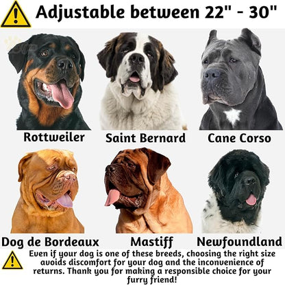 ADITYNA Heavy Duty Leather Dog Collar for Extra-Large Dogs - Soft and Strong Leather Dog Collar for XL Dog Breeds (Extra-Large: Fit 22" - 30" Neck, Black)