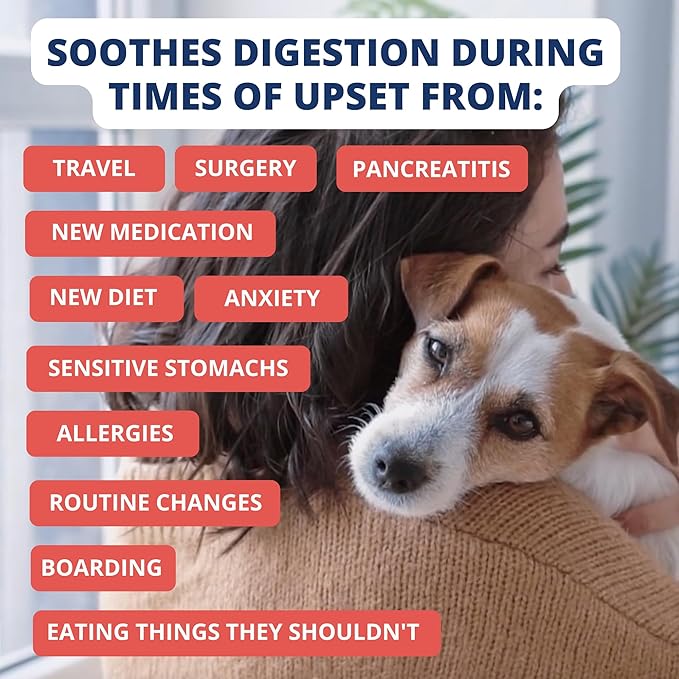 Under the Weather Bland Diet for Dogs | Easy to Digest Stomach Support for Sick Dogs | Contains Electrolytes, All Natural | 1 Pack - Turkey, Oatmeal, Sweet Potato & Slippery Elm for Dogs - 6oz