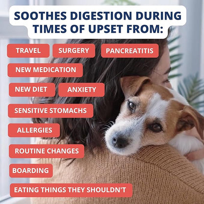 Under the Weather Bland Diet for Dogs | Easy to Digest Stomach Support for Sick Dogs | Contains Electrolytes, All Natural | 2 Pack - Turkey, Oatmeal, Sweet Potato & Slippery Elm for Dogs - 6oz