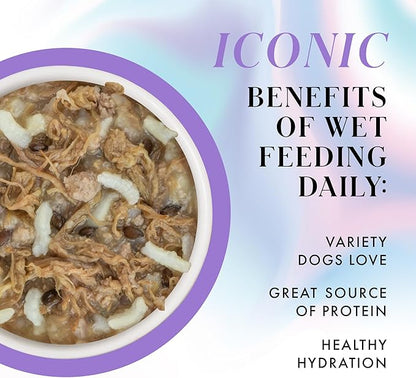 Weruva Paris Hilton Pamper Like Paris Natural Wet Dog Food, Beef and Rice, 2.75oz Cup (Pack of 10)