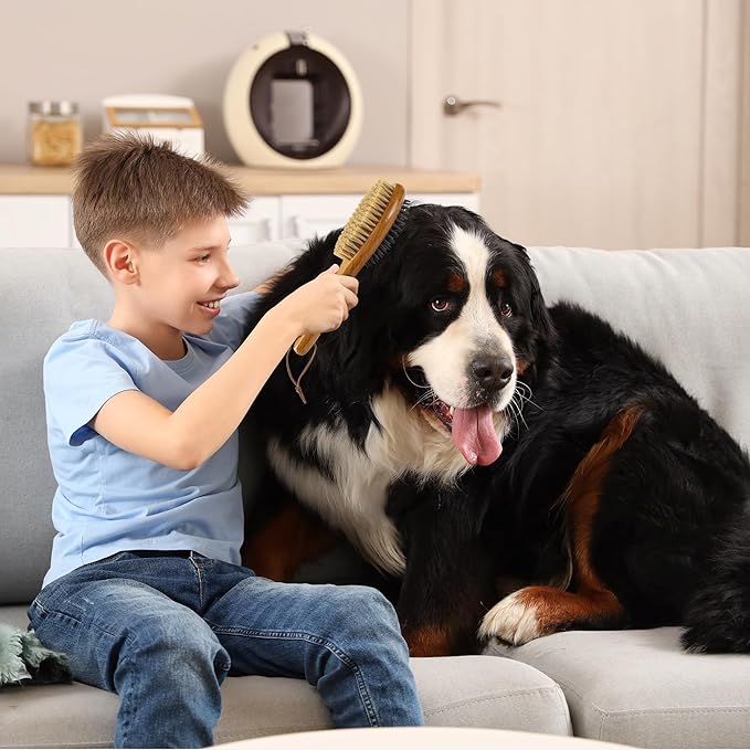 TAKAVU Short Hair Dog Cat Brush, Double-Sided Silicone & Bristle Pet Grooming Brush for Removing Dirt & Loose Hair, Coats Detangling Deshedding, Massage Pet Skin, Wood Handle Pet Comb