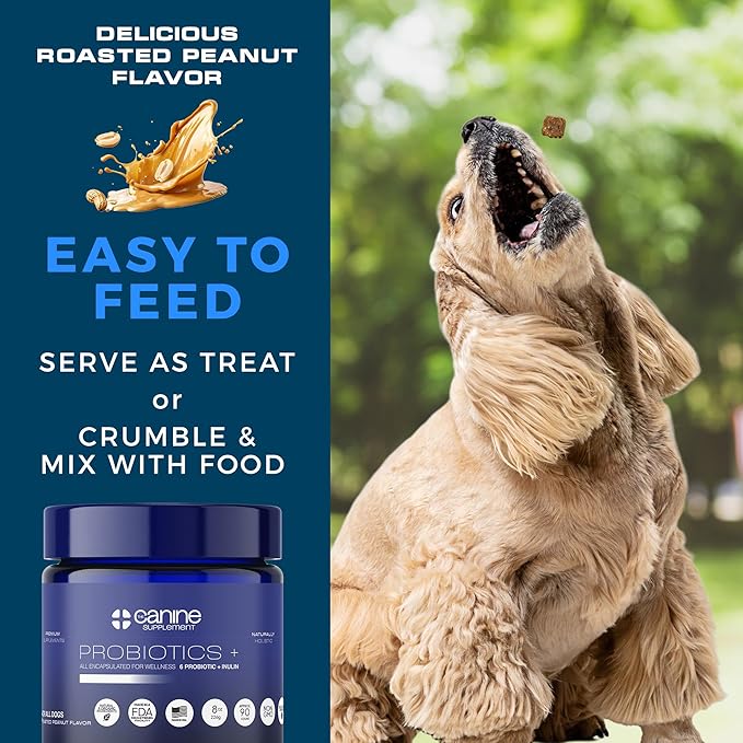Probiotics for Dogs | Soft Chews with Digestive Enzymes, Pumpkin & Prebiotics | Supports Gut Health, Immunity, Stool Quality & Nutrient Absorption | Peanut Flavor, 90 Count