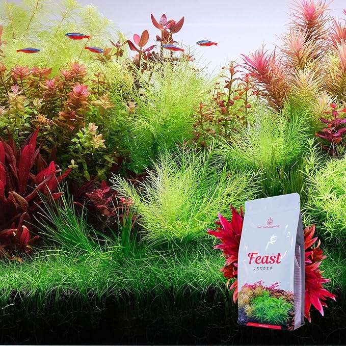 2HR Aquarist APT Feast Planted Aquarium Substrate (2L)
