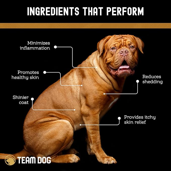 TEAM DOG Omega Skin and Coat Chews for Dogs | Wild Alaskan Salmon Oil for Dogs Skin and Coat Supplement | Allergy & Itchy Skin Relief for Dog Shedding | for a Glowing Coat & Healthy Skin | 120 Count