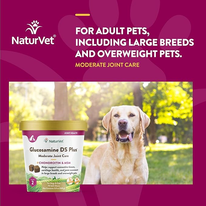NaturVet  Glucosamine DS Plus - Level 2 Moderate Care  Supports Healthy Hip & Joint Function  Enhanced with Glucosamine, MSM & Chondroitin  for Dogs & Cats70 Soft Chews