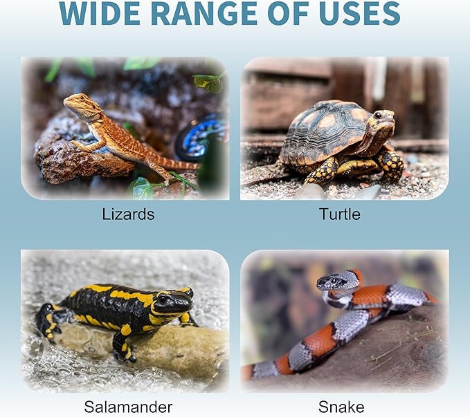 Hide Cave Aquarium Decorations-Premium Resinous Natural Hideout Fit for Aquariums & Terrariums, Reptiles, Amphibians, Fish Playground