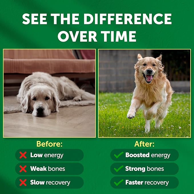 Nature's Protection Dog Joint Supplement - Mineral Powder Supplement for Pet Muscle Recovery, Stronger Bones, Immune & Gut Health for Dogs & Cats of All Breeds, 9 Oz