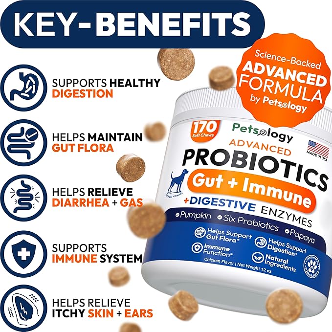 Probiotics for Dogs - 170 Dog Probiotics Chews - Digestive Enzymes & Prebiotics - Support Gut Health, Diarrhea, Gas & Constipation Relief - Itchy Skin, Allergies, Yeast Balance - Advanced Supplement