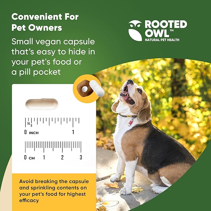 Rooted Owl Natural Immunity - Cat and Dog Immune Support - Triple Mushroom Supplement for Dogs & Cats with Reishi, Shiitake and Maitake Mushrooms - 60/ct Vegan Capsules