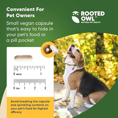 Rooted Owl Natural Immunity - Cat and Dog Immune Support - Triple Mushroom Supplement for Dogs & Cats with Reishi, Shiitake and Maitake Mushrooms - 60/ct Vegan Capsules
