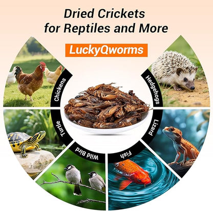 Dried Crickets 1 lb for Chickens, Wild Birds, Hedgehogs, Reptiles, Lizards, Bearded Dragons, Fish, Turtles - High Protein Natural Insect Food Resealable Bag