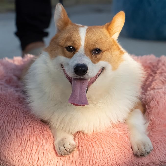 Dog Beds for Medium Dogs Washable 30 Inches Pink Dog Bean Bag Bed Girl Dog beds for Medium Dogs Fits up to 45 lbs Pets Beds for Medium Dog.