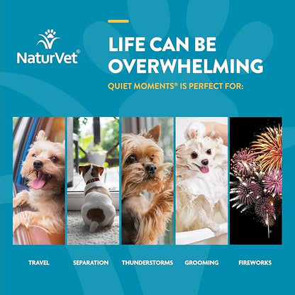 NaturVet Quiet Moments Calming Dog Supplement, Dog Soft Chews with Melatonin to Help Reduce Stress from Storms, the Vet, Fireworks, and Travel, Bacon and Chicken Flavored Pet Supplement, 240 Count Jar