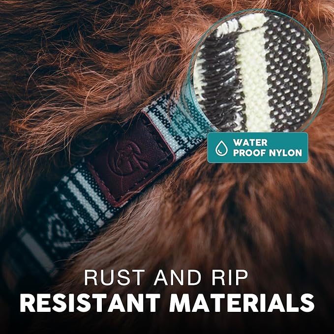 Embark Urban Dog Collar  Dog Collar Stylish & Durable Nylon Dog Collar for Large Dogs, Small Dogs & Medium Dogs.Comfortable Pet Collar Strong Buckles for Any Size Breed (Lunar, Large)