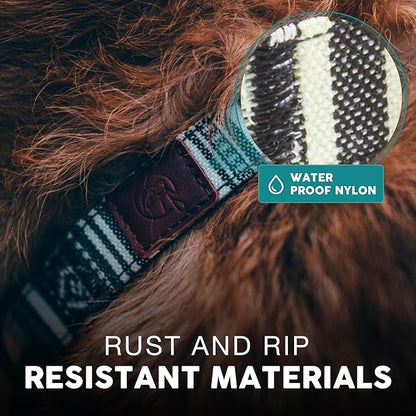 Embark Urban Dog Collar  Dog Collar Stylish & Durable Nylon Dog Collar for Large Dogs, Small Dogs & Medium Dogs.Comfortable Pet Collar Strong Buckles for Any Size Breed (Lunar, Large)