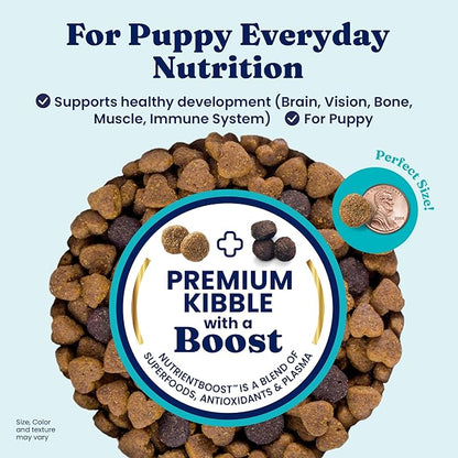 Solid Gold Chicken Dry Puppy Food - W/Real Chicken & Potato - Grain Free & Gluten Free Puppy Dog Food w/Probiotics for Gut Health & Digestion - Healthy Kibble for Puppies - Nutrientboost - 22 LB