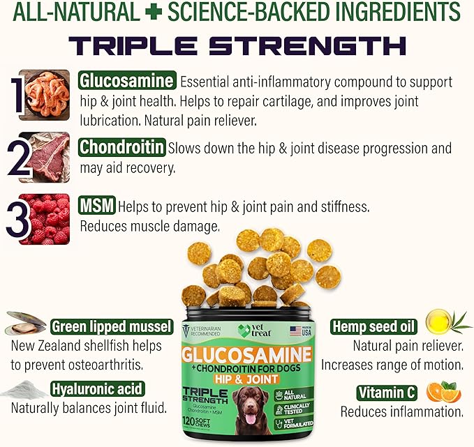 Glucosamine for Dogs  Hip & Joint Supplement with Chondroitin, MSM, Turmeric, Hemp Oil & Green Lipped Mussel  Arthritis Pain Relief, Mobility Support  Vet Formulated, USA  120 Chews