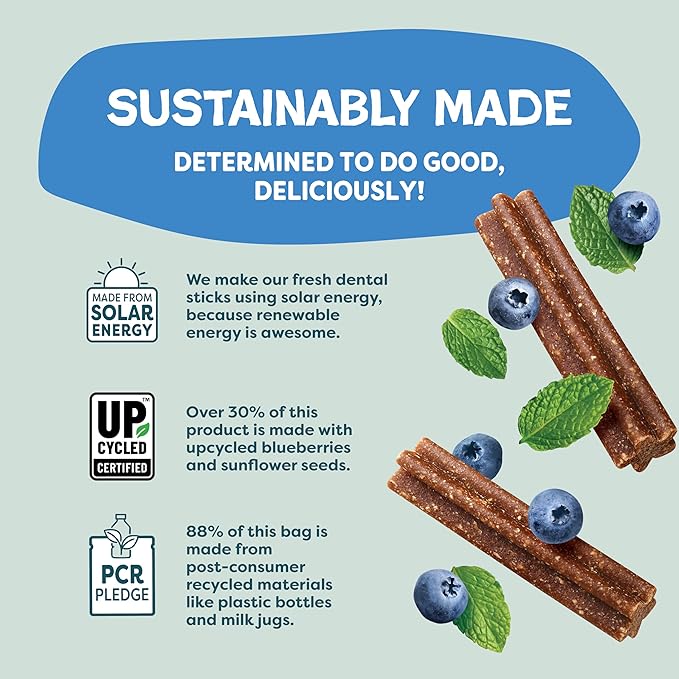 Shameless Pets Toothberry Dental Mini Chews for Dogs  Natural Dog Dental Sticks for Fresh Breath, Teeth Cleaning & Removes Tartar, Grain-Free Dog Treats, No Corn or Soy