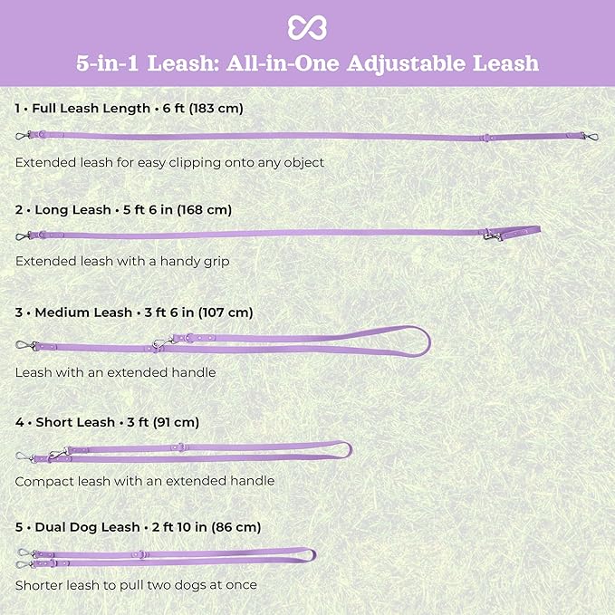 Dog Harness and Leash Set | BearBone No Pull Dog Harness and Waterproof Dog Collar and Leash Set | Heavy Duty Dog Harness, Leash and Collar | Leash, Collar and Harness Large Size Dog (Lilac, Large)