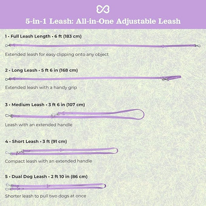 Dog Harness and Leash Set | BearBone No Pull Dog Harness and Waterproof Dog Collar and Leash Set | Heavy Duty Dog Harness, Leash and Collar | Leash, Collar and Harness Large Size Dog (Lilac, Large)