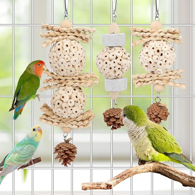 Wontee Bird Toys 3 Pack Parrot Foraging Hanging Toys Sola Ball Natural Nuts Chew Toys for Cockatiels Conures Parakeets Budgies Senegal (3 Pack)