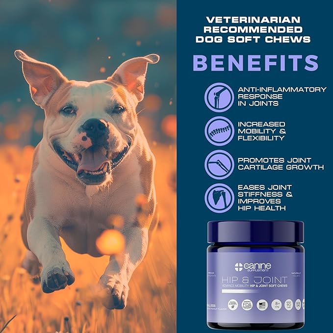 Joint Support for Dogs | Soft Chews with Glucosamine, Chondroitin, MSM & Turmeric | Helps Mobility, Flexibility & Pain Relief | Roasted Peanut Flavor, 90 Count