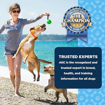 American Kennel Club Dentacare Variety Pack Dog Treats, Includes Yogurt with Strawberry, Yogurt with Blueberry, and Yogurt with Banana, Good for Dog Dental Health, 20 Count