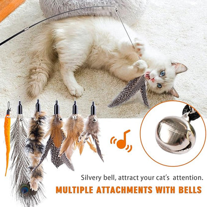 Retractable Cat Wand Toys - Interactive Feather Wand with Bell for Indoor/Outdoor Cats, 8 Pack