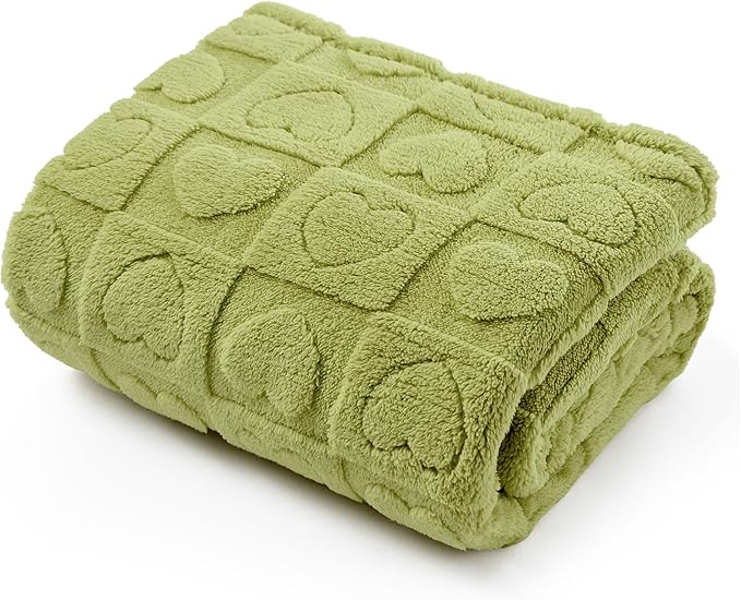Bedsure Dog Blanket for Small Dogs Washable - Soft Fluffy Puppy Blanket with Premium 300GSM Coral Fleece, Cozy Calming Cat Blankets for Indoor Cats, Fuzzy Pet Blanket for Kitten Doggy, Green, 25x35IN
