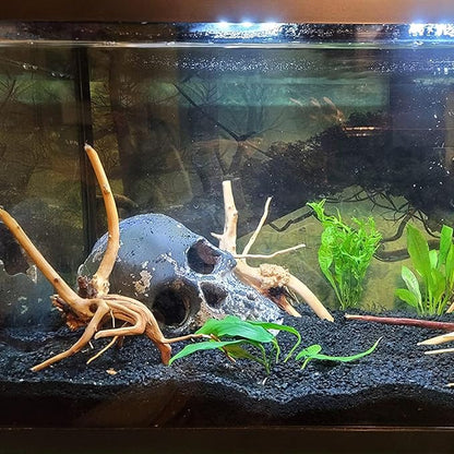 3 Pcs Natural Spiderwood for Aquarium, Aquarium Driftwood Freshwater 10-12 Inch, Assorted Size Spider Wood, Twisted Branches for Fishtank Accessories, Reptile Terrariums Decorations