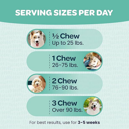 Immunity Boosting Dog Allergy Chews | Delicious and Soothing Hot Spot & Dog Itch Relief Chew for Seasonal Allergy Relief with Probiotics ACV Alaskan Salmon Oil & Colostrum for Dogs | 90 Chews